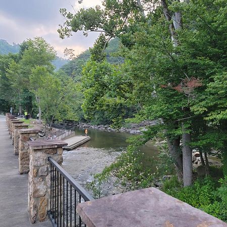 Willa Bear Necessities, Luxury 5Bd Mtn Views, Hot Tub, Many Bear Sightings Gatlinburg Zewnętrze zdjęcie