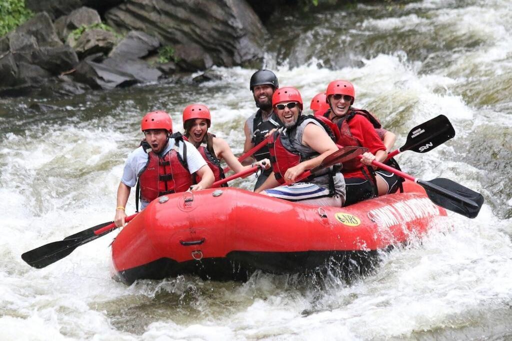 Willa Bear Necessities, Luxury 5Bd Mtn Views, Hot Tub, Many Bear Sightings Gatlinburg Zewnętrze zdjęcie
