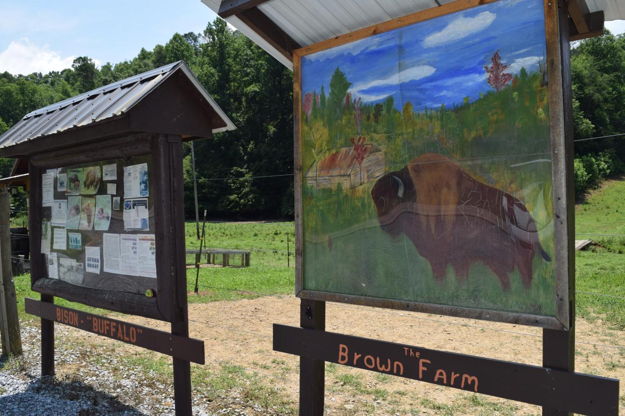 Willa Bear Necessities, Luxury 5Bd Mtn Views, Hot Tub, Many Bear Sightings Gatlinburg Zewnętrze zdjęcie