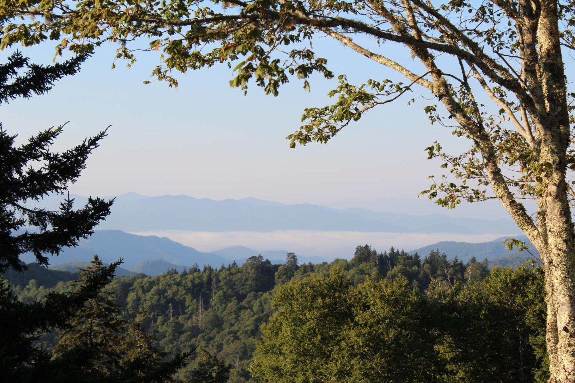 Willa Bear Necessities, Luxury 5Bd Mtn Views, Hot Tub, Many Bear Sightings Gatlinburg Zewnętrze zdjęcie