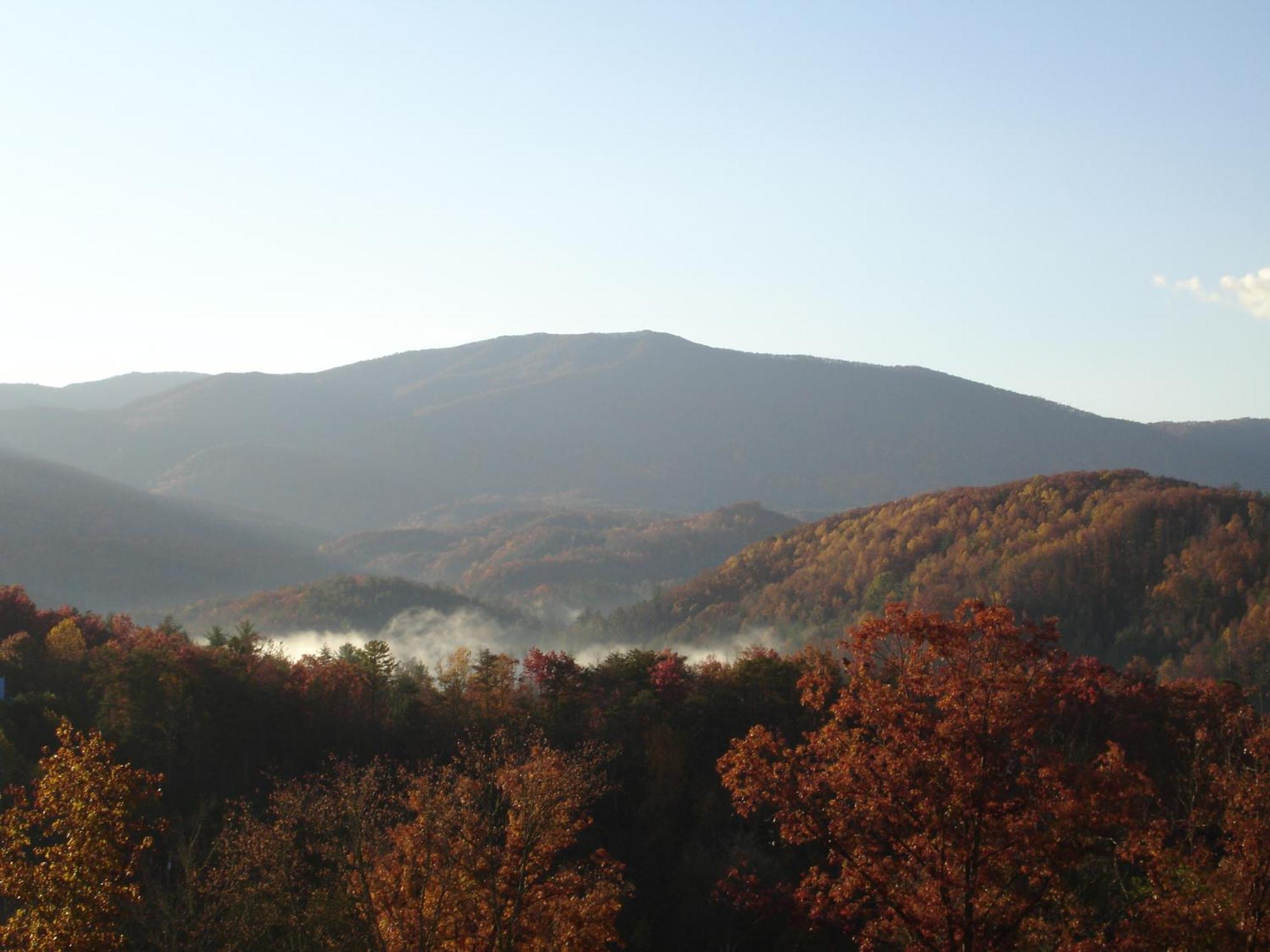 Willa Bear Necessities, Luxury 5Bd Mtn Views, Hot Tub, Many Bear Sightings Gatlinburg Zewnętrze zdjęcie