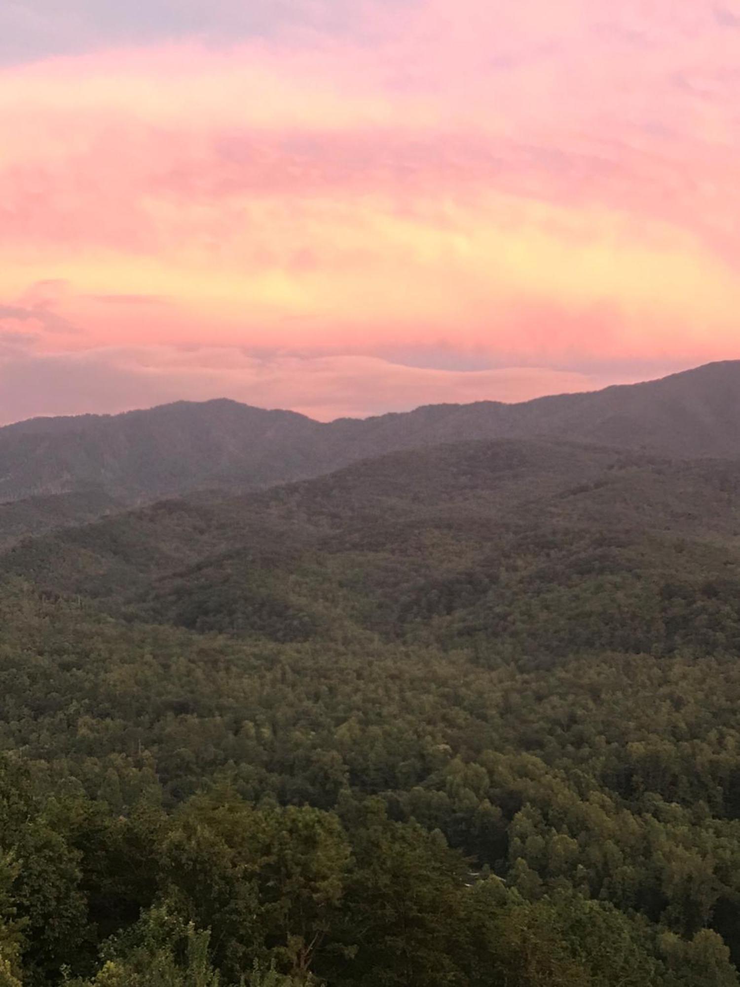 Willa Bear Necessities, Luxury 5Bd Mtn Views, Hot Tub, Many Bear Sightings Gatlinburg Zewnętrze zdjęcie