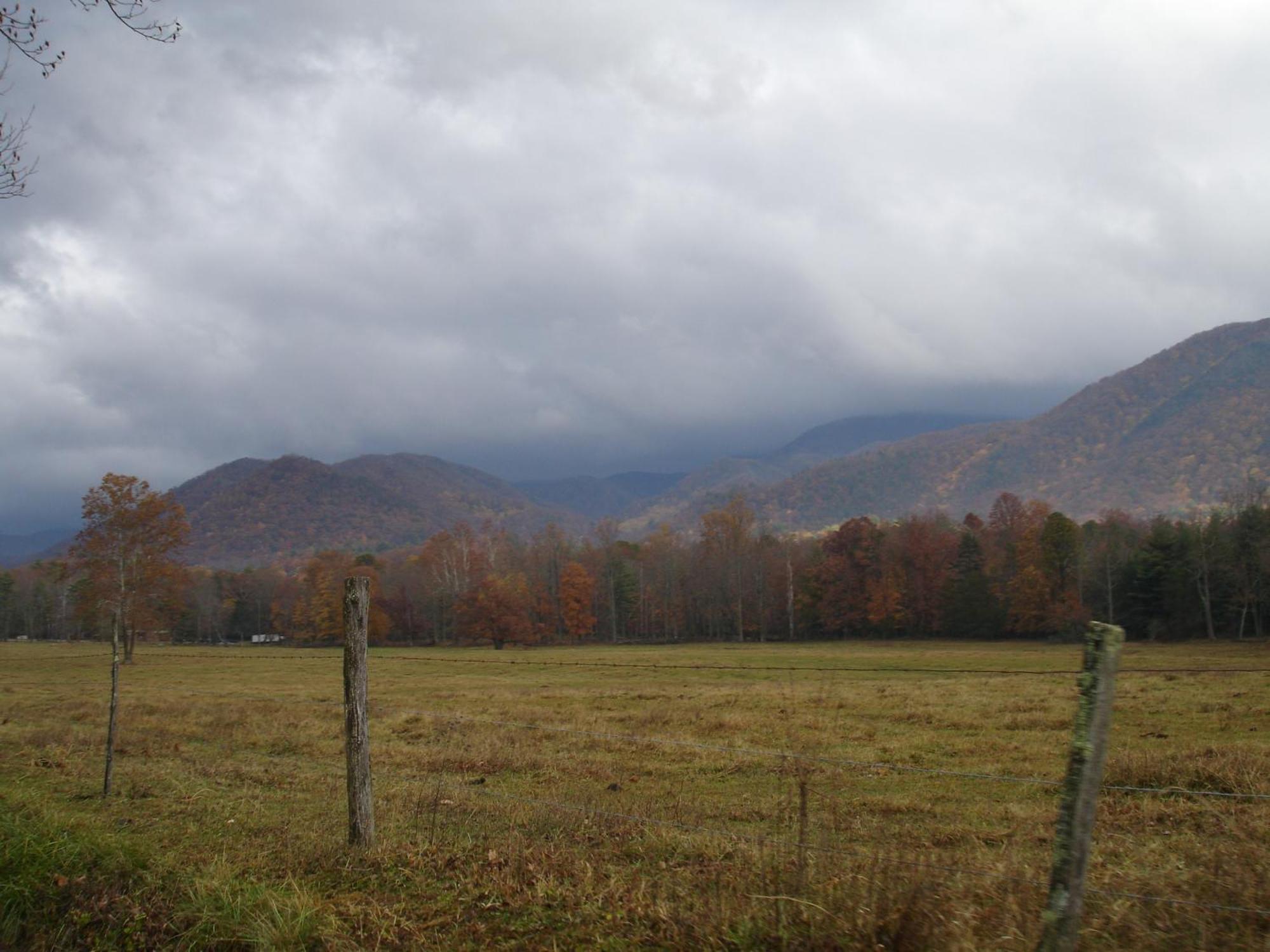 Willa Bear Necessities, Luxury 5Bd Mtn Views, Hot Tub, Many Bear Sightings Gatlinburg Zewnętrze zdjęcie