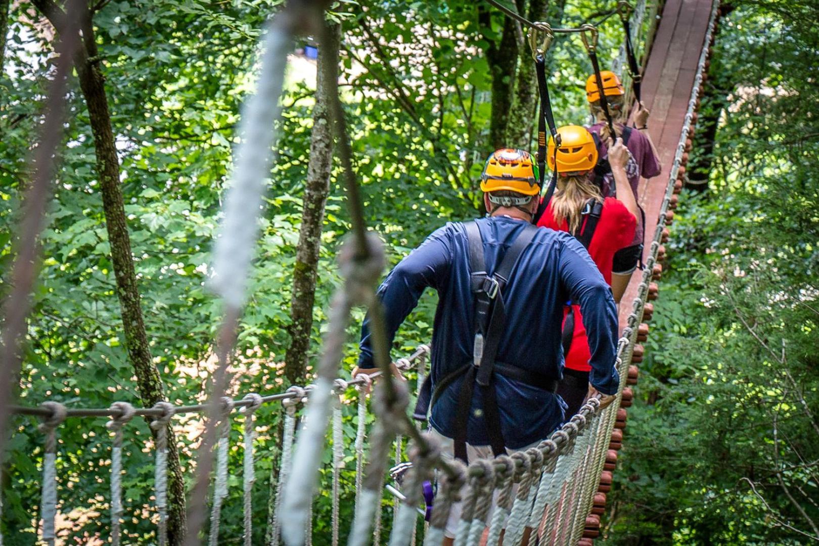 Willa Bear Necessities, Luxury 5Bd Mtn Views, Hot Tub, Many Bear Sightings Gatlinburg Zewnętrze zdjęcie