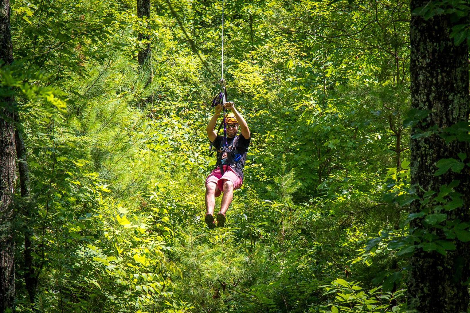 Willa Bear Necessities, Luxury 5Bd Mtn Views, Hot Tub, Many Bear Sightings Gatlinburg Zewnętrze zdjęcie
