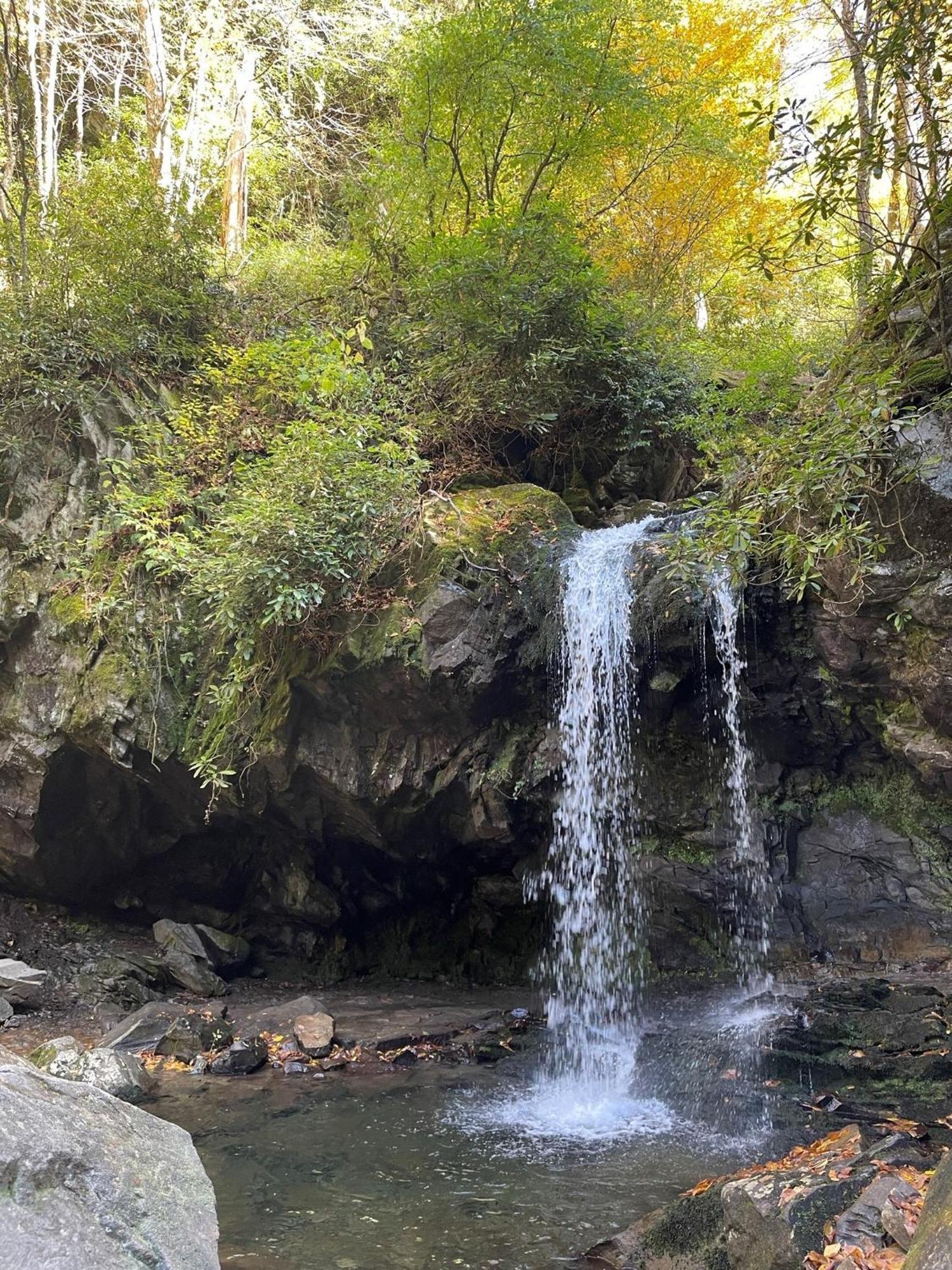 Willa Bear Necessities, Luxury 5Bd Mtn Views, Hot Tub, Many Bear Sightings Gatlinburg Zewnętrze zdjęcie