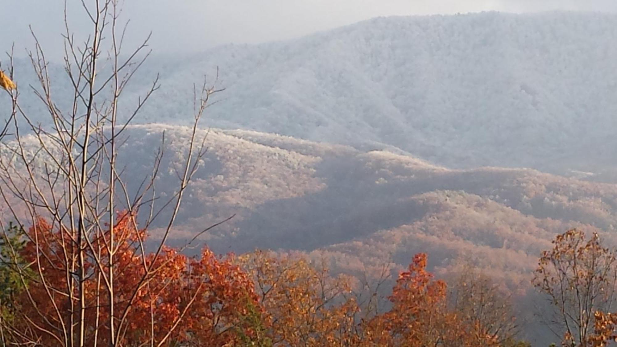 Willa Bear Necessities, Luxury 5Bd Mtn Views, Hot Tub, Many Bear Sightings Gatlinburg Zewnętrze zdjęcie